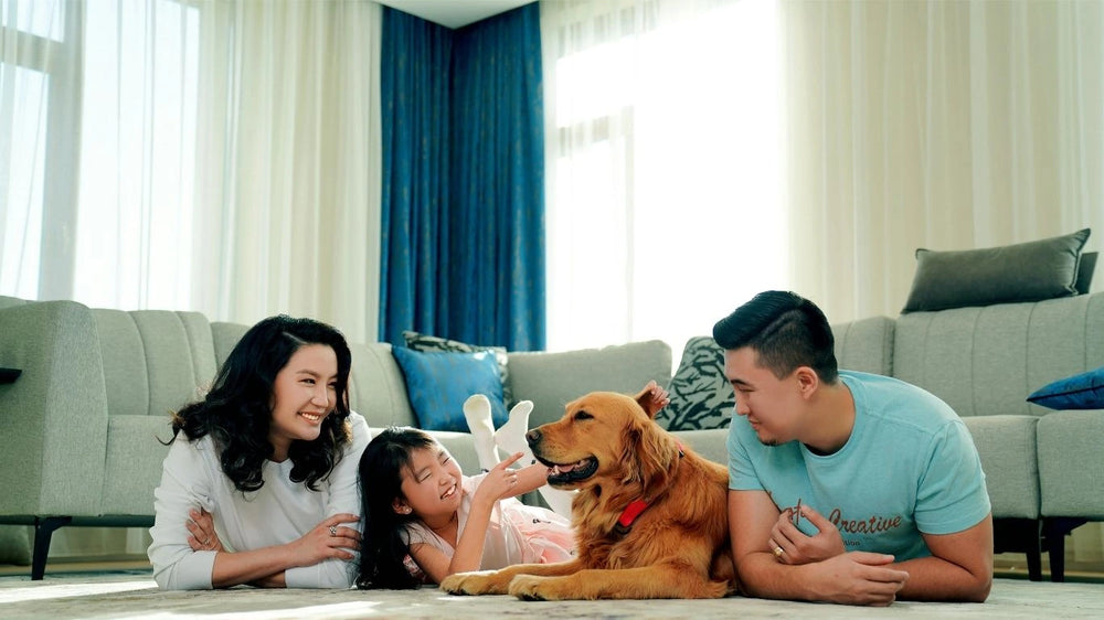 Pets and kids cohabitation, Safe pet introductions for children, Child and pet safety tips, Hygiene tips for families with pets, How to introduce pets to kids, Teaching kids to interact with pets, Maintaining a clean home with pets and kids.