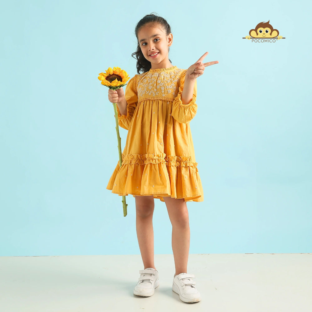 Golden Glow Embroidered Dress" for kids aged 6 months to 11 years, featuring intricate embroidery and a charming design, perfect for festive and special occasions.