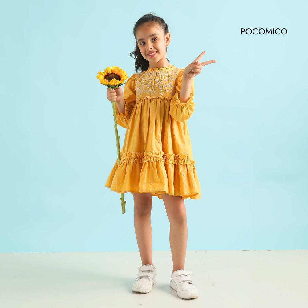 Golden Glow Embroidered Dress" for kids aged 6 months to 11 years, featuring intricate embroidery and a charming design, perfect for festive and special occasions.