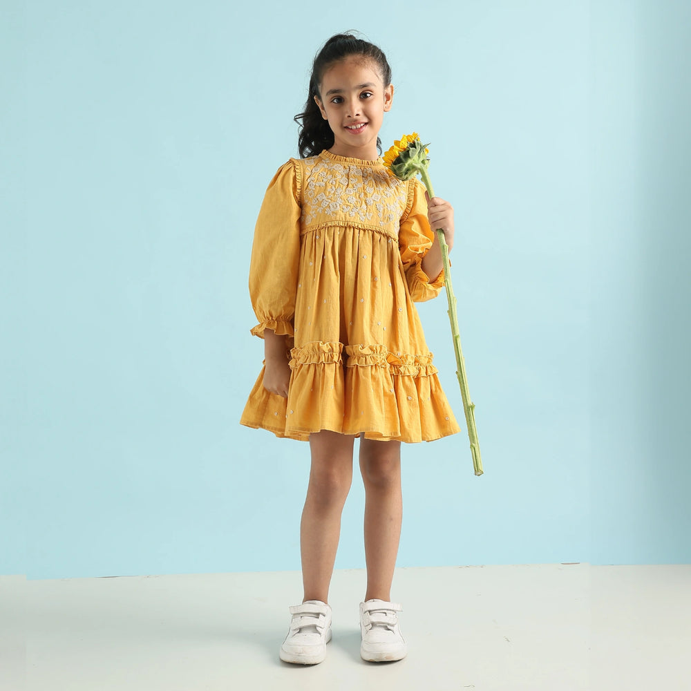 
                  
                    Golden Glow Embroidered Dress" for kids aged 6 months to 11 years, featuring intricate embroidery and a charming design, perfect for festive and special occasions.
                  
                